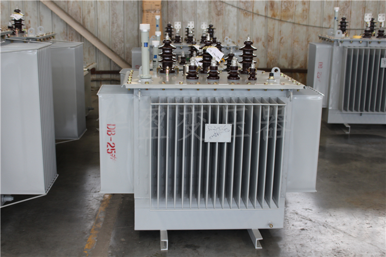 铜仁S20-800kVA/10kV/0.4kV变压器